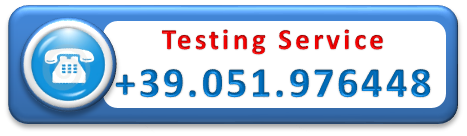 Testing and revision service Centro Gru